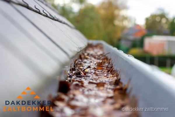 Dakgoot reiniging met de hand in Zaltbommel