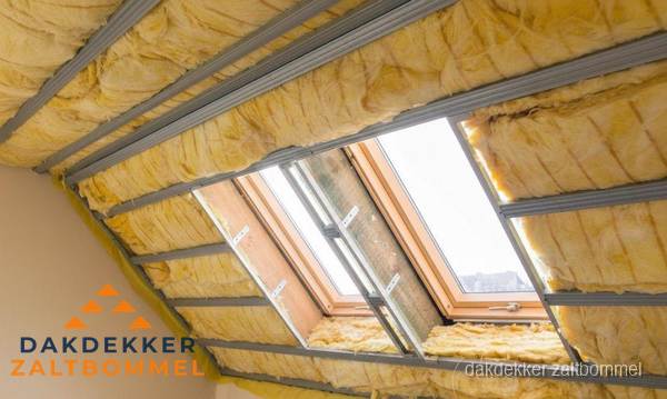Verstopte dakgoot vol bladeren, dakgoot lekt in Zaltbommel Verstopte dakgoot vol bladeren, dakgoot lekt in Zaltbommel