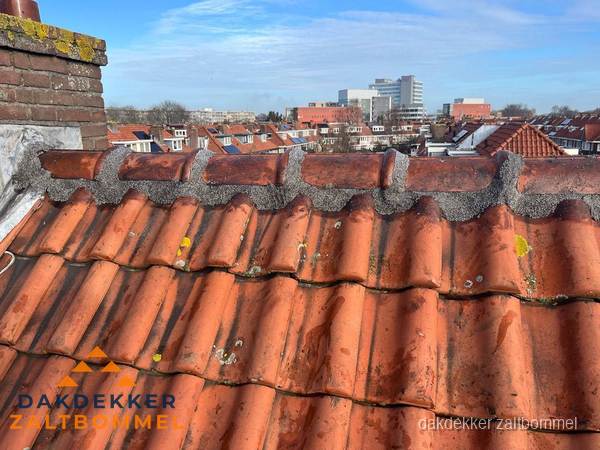 Plat dak bedrijfspand met bitumen dakbedekking en lichtkoepels in Zaltbommel Plat dak bedrijfspand met bitumen dakbedekking en lichtkoepels in Zaltbommel