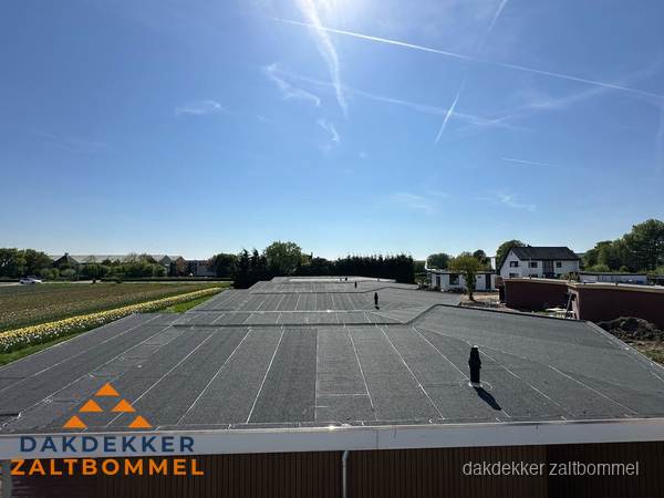 Plat dak vervangen met nieuwe OSB-ondergrond en bitumenrol in Zaltbommel Plat dak vervangen met nieuwe OSB-ondergrond en bitumenrol in Zaltbommel