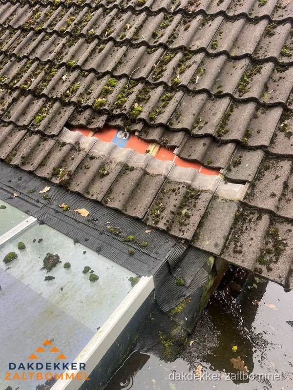 Daklekkage repareren met brandgereedschap op plat dak in Zaltbommel Daklekkage repareren met brandgereedschap op plat dak in Zaltbommel